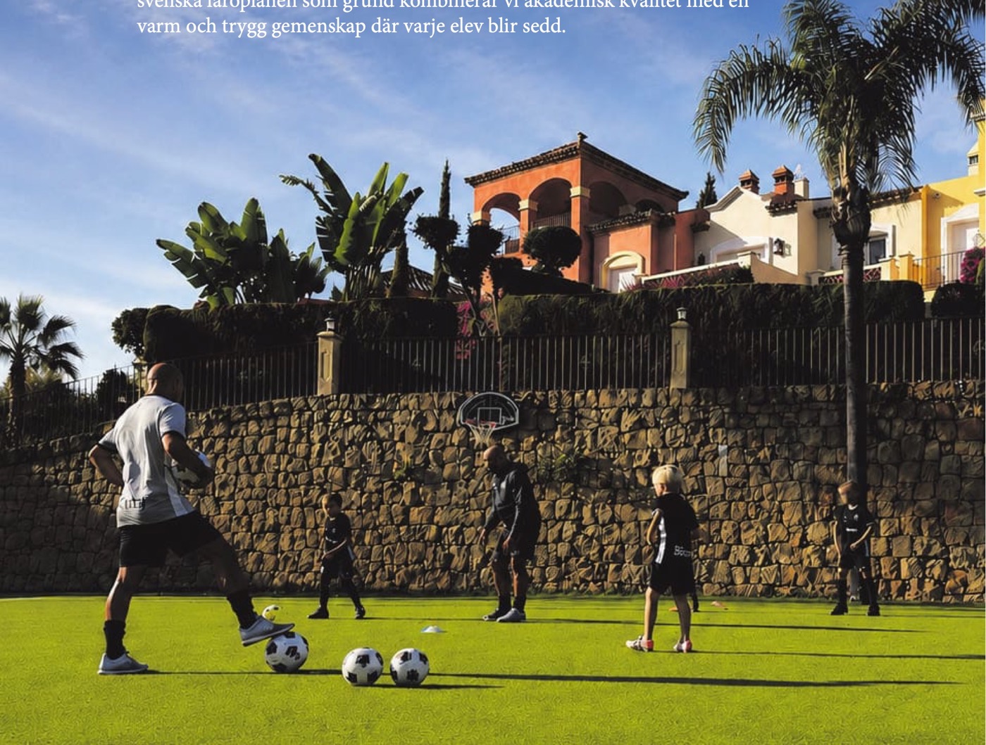 Svenska Skolan Marbella: gräsytor, palmer, olivlund, fotbollsplan och padelbanor.