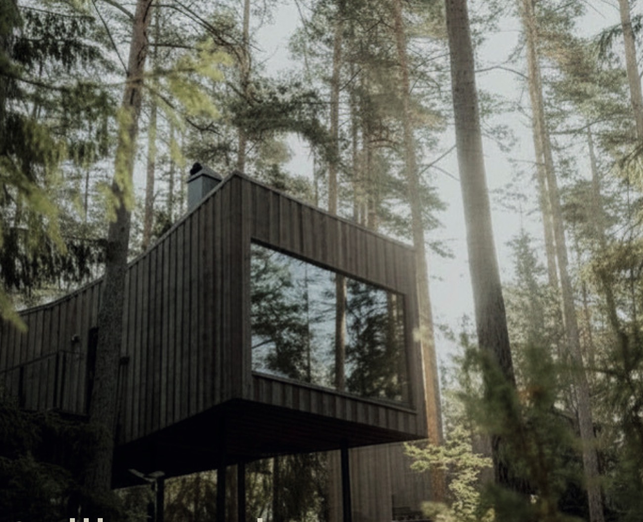 Trakt Forest Hotel ligger mitt i de småländska skogarna.