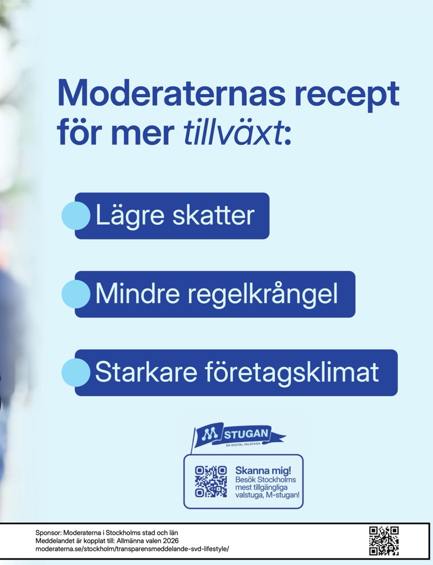 Sida 17