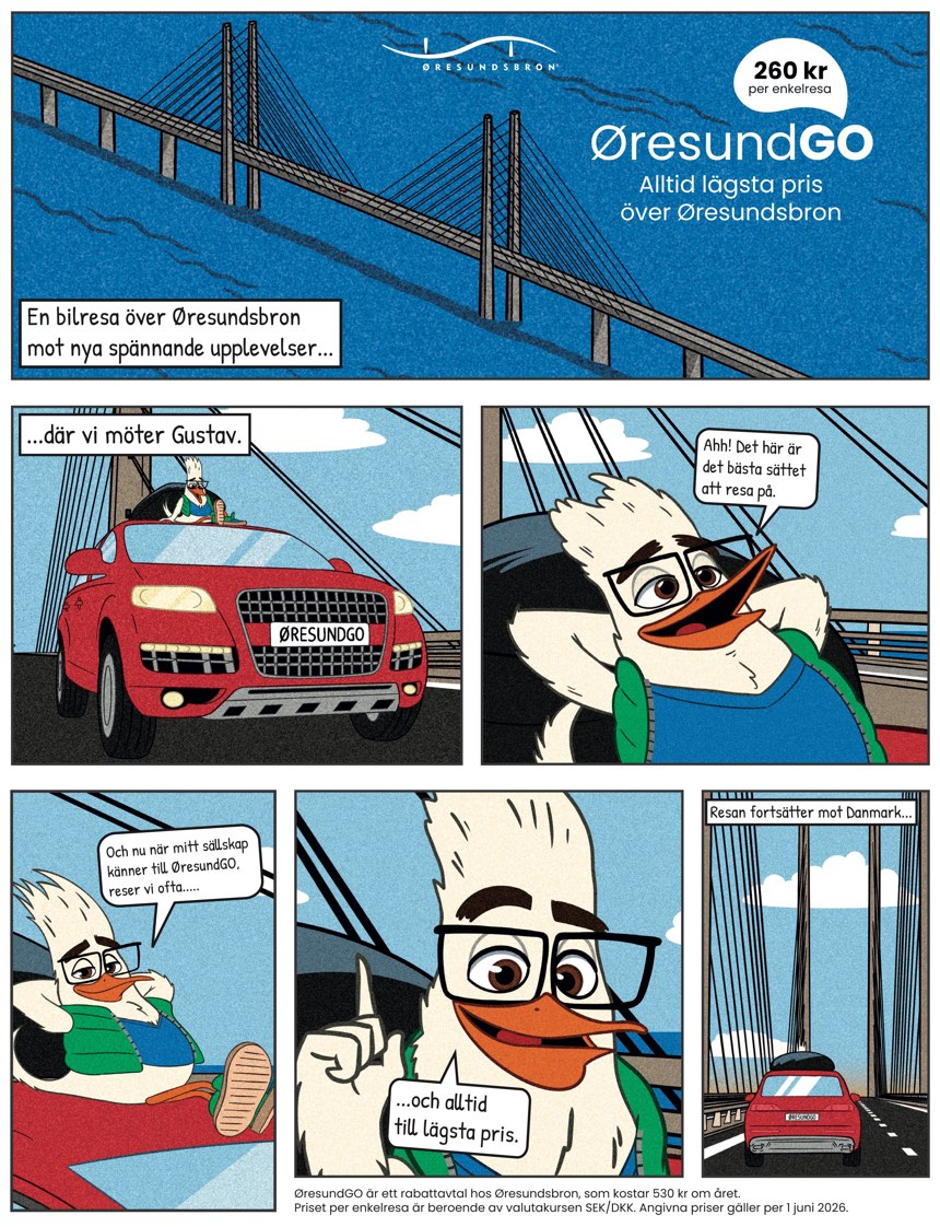 Sida 29
